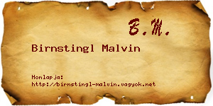 Birnstingl Malvin névjegykártya